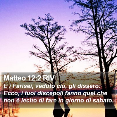 Matteo 12:2 RIV Bible Verse Image