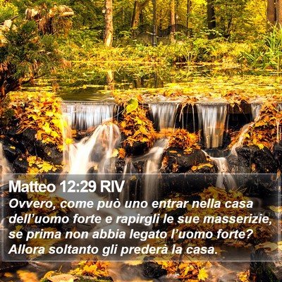 Matteo 12:29 RIV Bible Verse Image