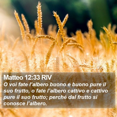 Matteo 12:33 RIV Bible Verse Image