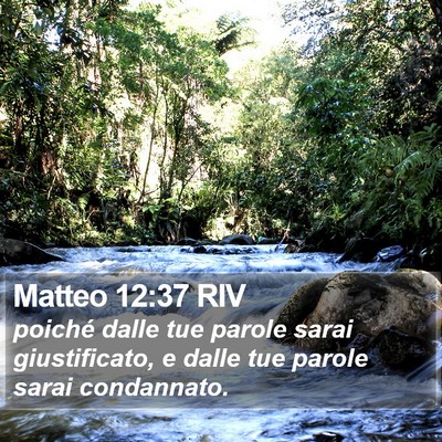 Matteo 12:37 RIV Bible Verse Image