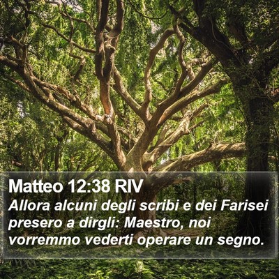 Matteo 12:38 RIV Bible Verse Image