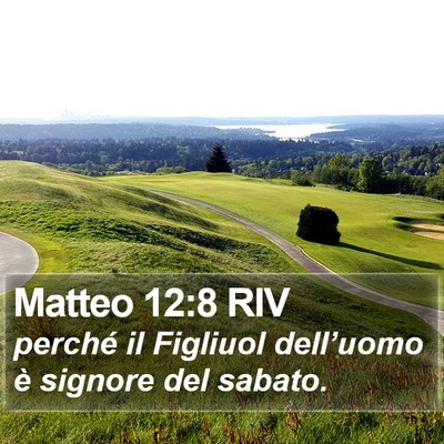 Matteo 12:8 RIV Bible Verse Image