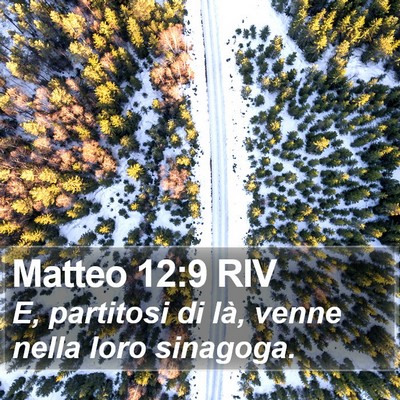 Matteo 12:9 RIV Bible Verse Image