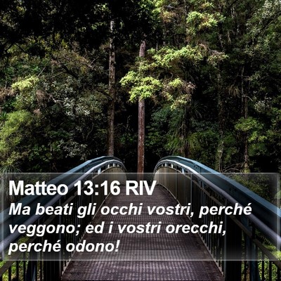 Matteo 13:16 RIV Bible Verse Image
