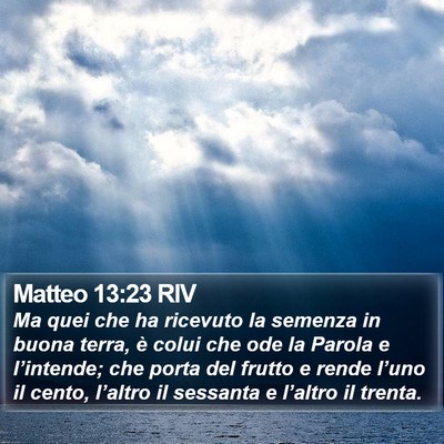 Matteo 13:23 RIV Bible Verse Image