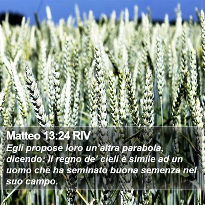 Matteo 13:24 RIV Bible Verse Image