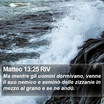 Matteo 13:25 RIV Bible Verse Image