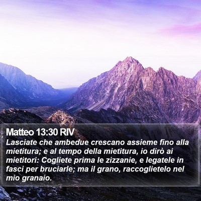 Matteo 13:30 RIV Bible Verse Image