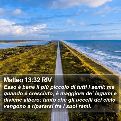 Matteo 13:32 RIV Bible Verse Image