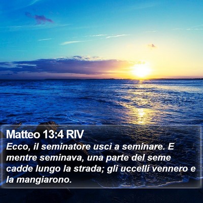 Matteo 13:4 RIV Bible Verse Image