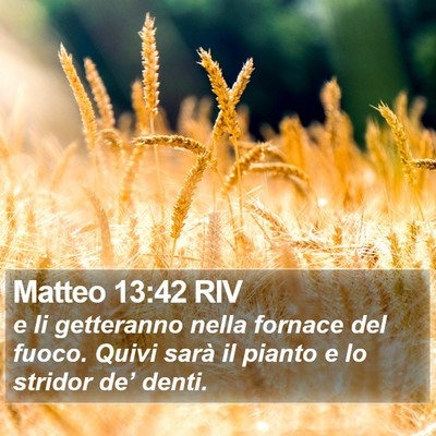 Matteo 13:42 RIV Bible Verse Image