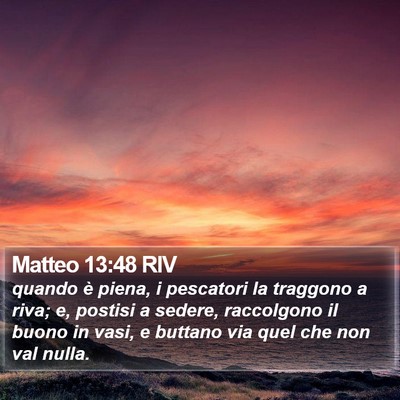 Matteo 13:48 RIV Bible Verse Image