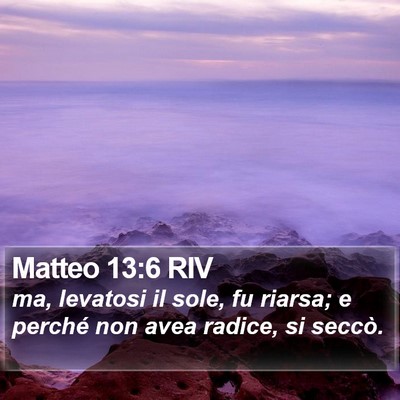 Matteo 13:6 RIV Bible Verse Image