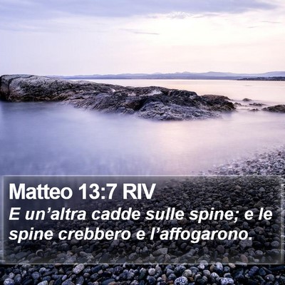 Matteo 13:7 RIV Bible Verse Image