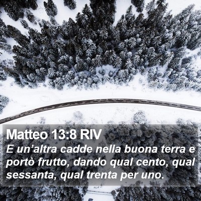 Matteo 13:8 RIV Bible Verse Image