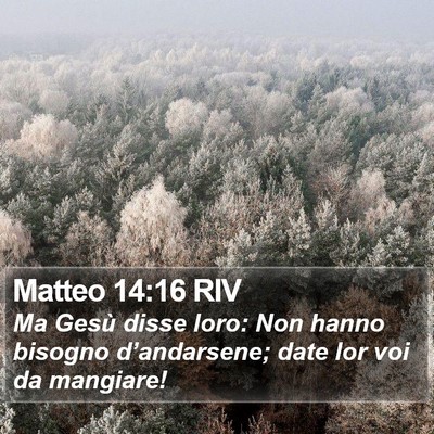 Matteo 14:16 RIV Bible Verse Image