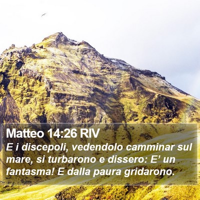 Matteo 14:26 RIV Bible Verse Image