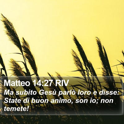 Matteo 14:27 RIV Bible Verse Image
