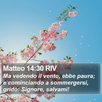 Matteo 14:30 RIV Bible Verse Image