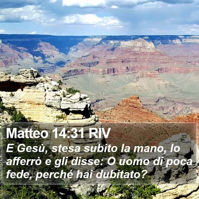 Matteo 14:31 RIV Bible Verse Image