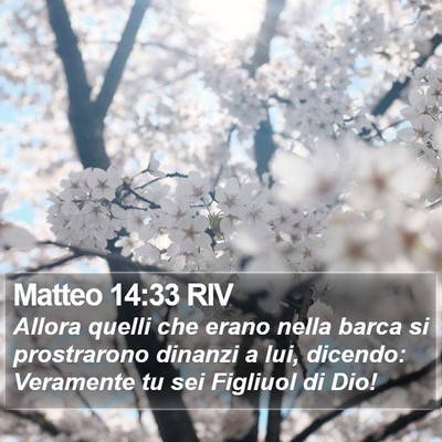 Matteo 14:33 RIV Bible Verse Image