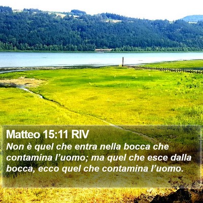 Matteo 15:11 RIV Bible Verse Image