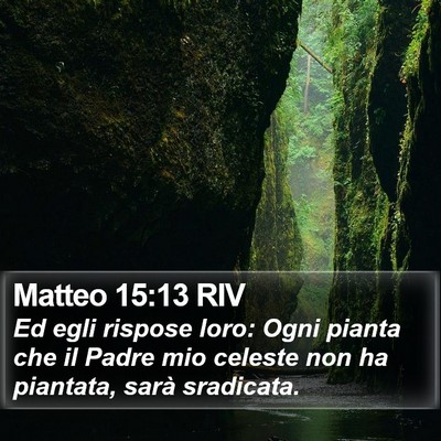 Matteo 15:13 RIV Bible Verse Image