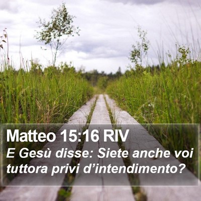 Matteo 15:16 RIV Bible Verse Image