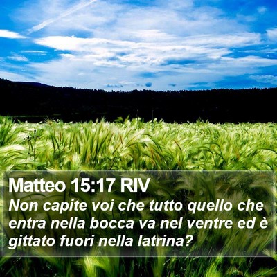 Matteo 15:17 RIV Bible Verse Image
