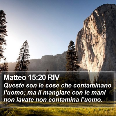 Matteo 15:20 RIV Bible Verse Image