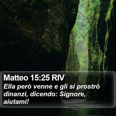 Matteo 15:25 RIV Bible Verse Image