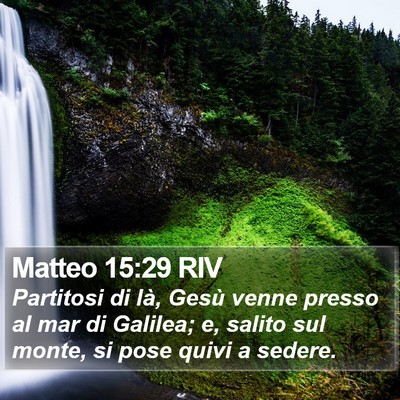 Matteo 15:29 RIV Bible Verse Image