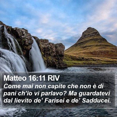 Matteo 16:11 RIV Bible Verse Image