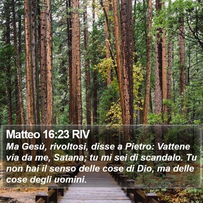 Matteo 16:23 RIV Bible Verse Image
