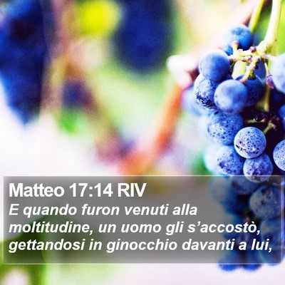 Matteo 17:14 RIV Bible Verse Image