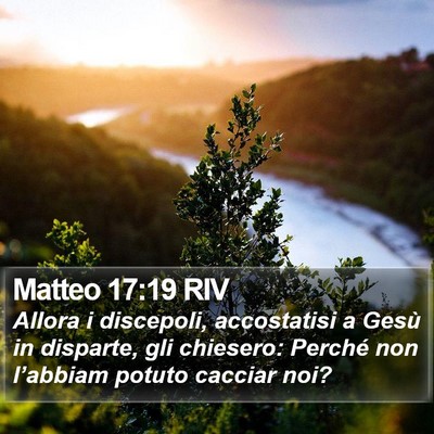 Matteo 17:19 RIV Bible Verse Image