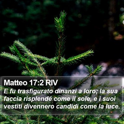 Matteo 17:2 RIV Bible Verse Image