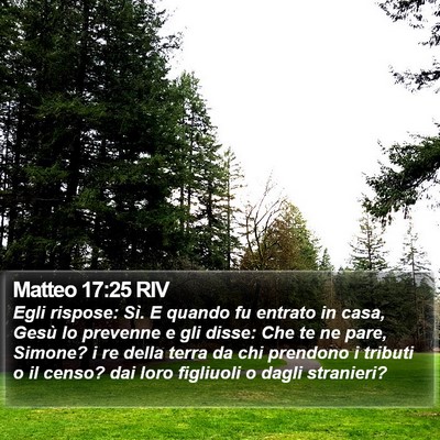 Matteo 17:25 RIV Bible Verse Image
