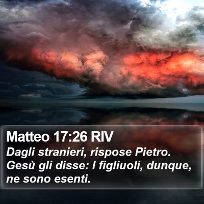 Matteo 17:26 RIV Bible Verse Image