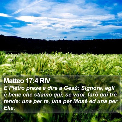 Matteo 17:4 RIV Bible Verse Image