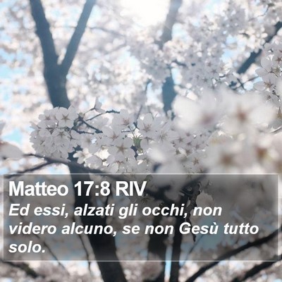 Matteo 17:8 RIV Bible Verse Image