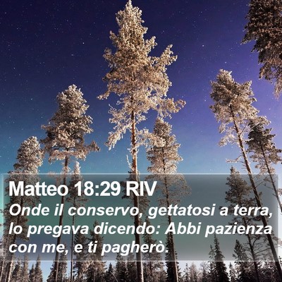 Matteo 18:29 RIV Bible Verse Image