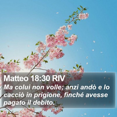 Matteo 18:30 RIV Bible Verse Image