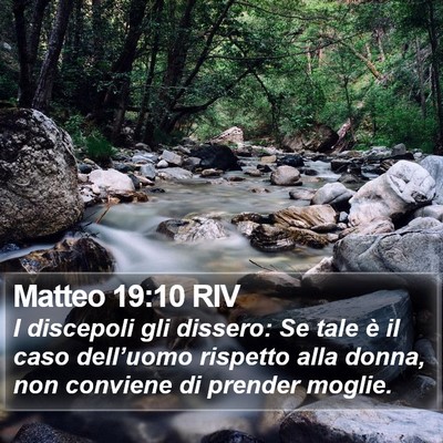 Matteo 19:10 RIV Bible Verse Image