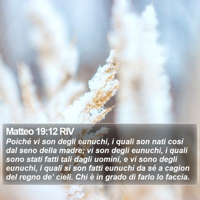 Matteo 19:12 RIV Bible Verse Image