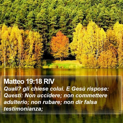 Matteo 19:18 RIV Bible Verse Image