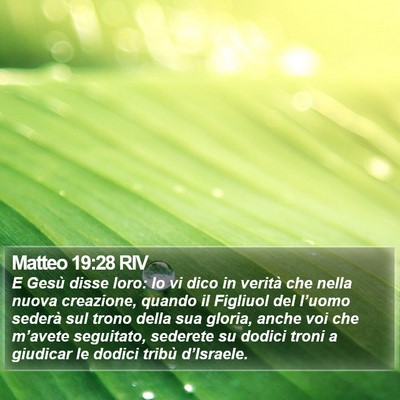 Matteo 19:28 RIV Bible Verse Image