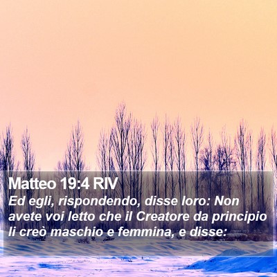 Matteo 19:4 RIV Bible Verse Image