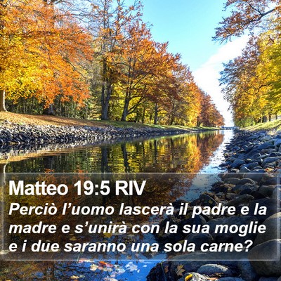Matteo 19:5 RIV Bible Verse Image