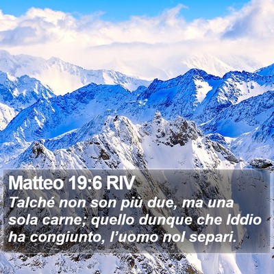 Matteo 19:6 RIV Bible Verse Image